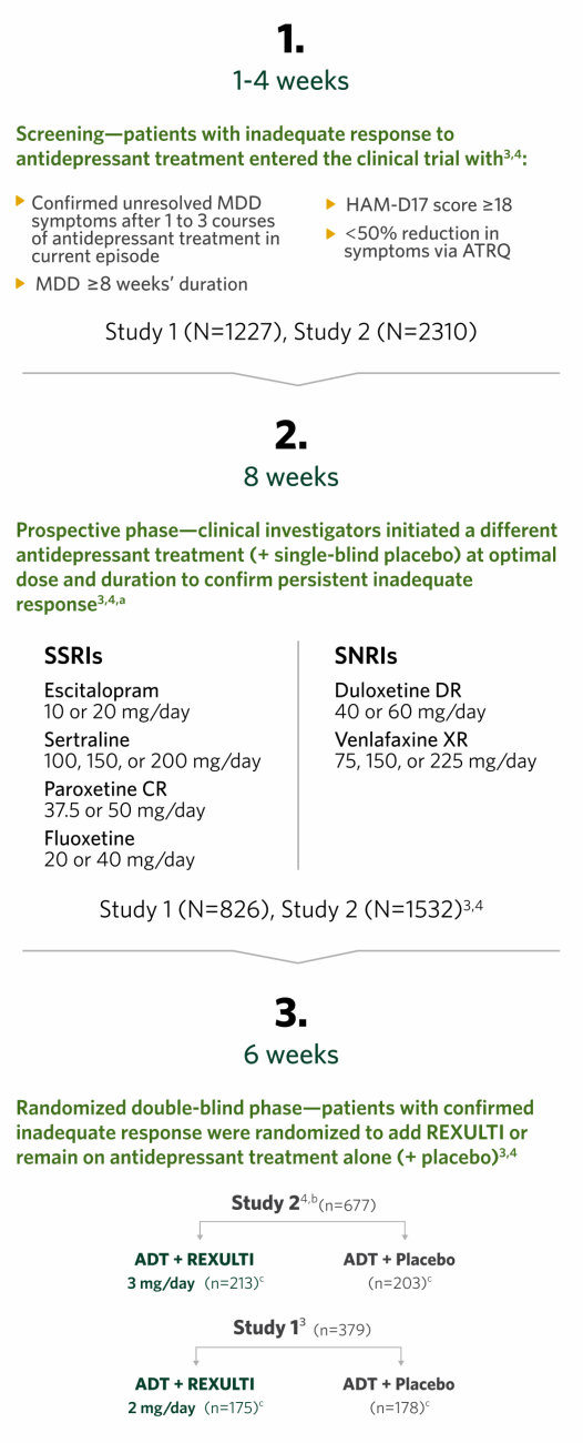 REXULTI for Major Depressive Disorder study design.